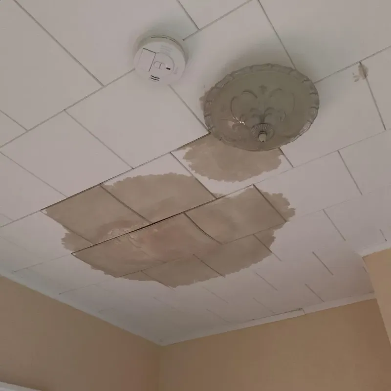 Ceiling Water Damage Repair in Moultrie, GA