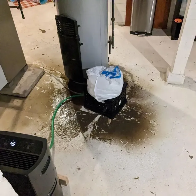 Sewage Backup Cleanup Service in Moultrie, GA